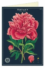 Cavallini General Store Card. All Occasion: Peony
