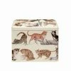Accessories Emma Bridgewater Cats Biscuit Tin