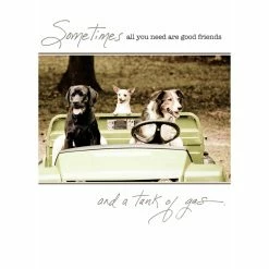 Pippins Tea Company Inc. General Store Card, All Occasion; Sometimes All You Need..