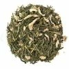 Pippins Tea Sencha Ginger