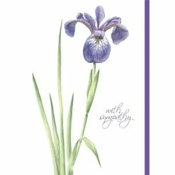 Pippins Tea Company Inc. Card. Sympathy; Purple Lily