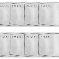 Pippins Tea RainCaper 10-pack PM2.5 Filters For Reusable Face Masks