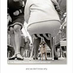 Pippins Tea Company Inc. Card, All Occasion; Sometimes We Feel...