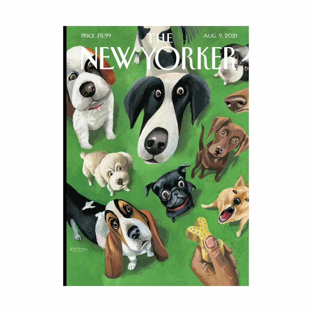 Best Sale π Pippins Tea Company Inc. Card, All Occasion, The New Yorker, βοΈ Summer Treat General Store π 1 Pippins Tea Company Inc. Card, All Occasion, The New Yorker, Summer Treat General Store