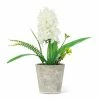 Pippins Tea Company Inc. General Store Hyacinth, White